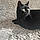 Bagheera