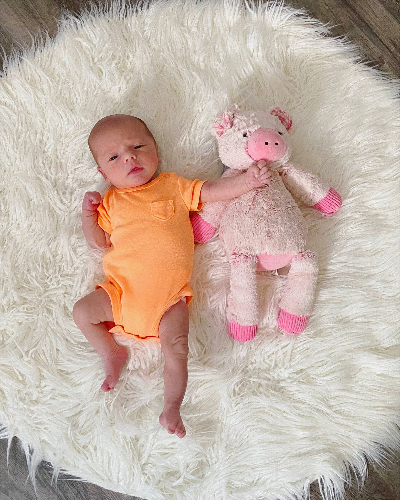 Laken joined the competition — help win amazing prizes! baby, baby_toddler_clothing, baby_toys, child, comfort, doll, fawn, foot, fur, happy, linens, person, pink, plush, room, skin, sleeve, stuffed_toy, textile, toddler