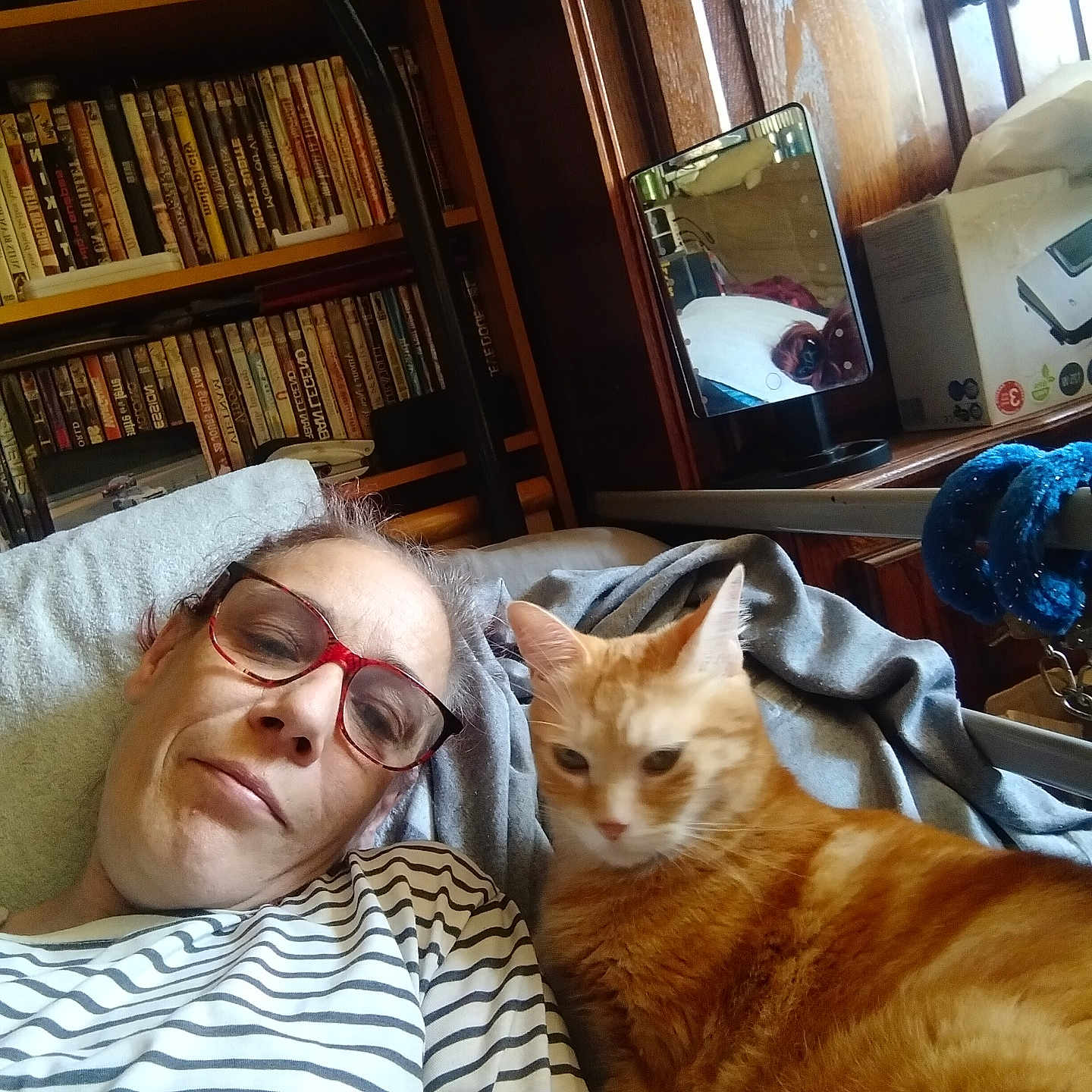 Magali Duchaussoir participe au concours pour gagner de l'argent avec cette photo : person, cat, orange_tabby, glasses, striped_shirt, bookshelf, books, mirror, blanket, wooden_cabinet, indoor, furniture, resting, pet, home, relaxed, reflection, casual, comfort, cozy