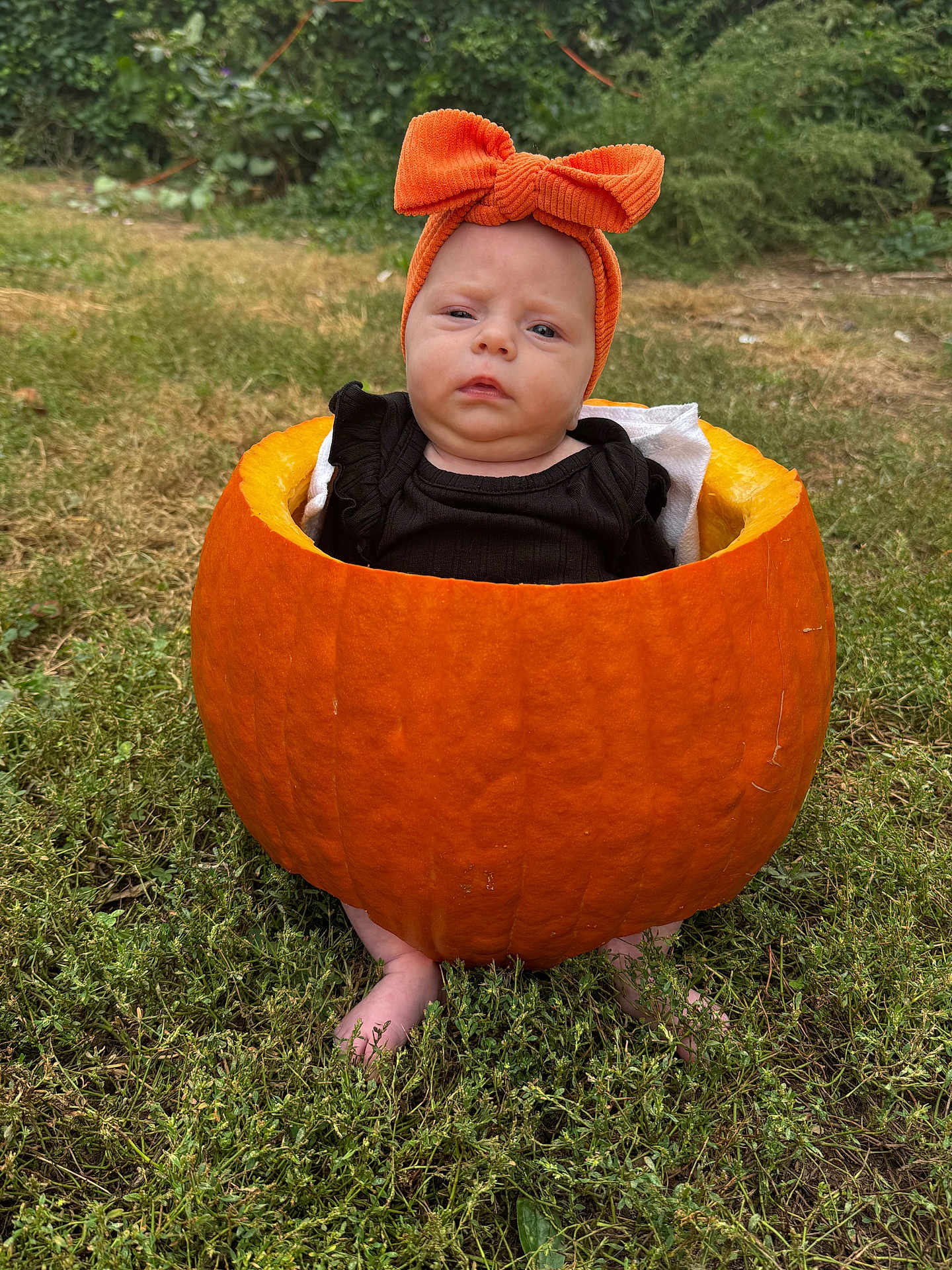 Brynne is registered to the contest to win money with this photo: baby, child, pumpkin, orange_bow, headband, grass, outdoor, fall, autumn, cute, costume, nature, greenery, feet, black_clothing, seasonal, holiday, portrait, baby_in_pumpkin, expression