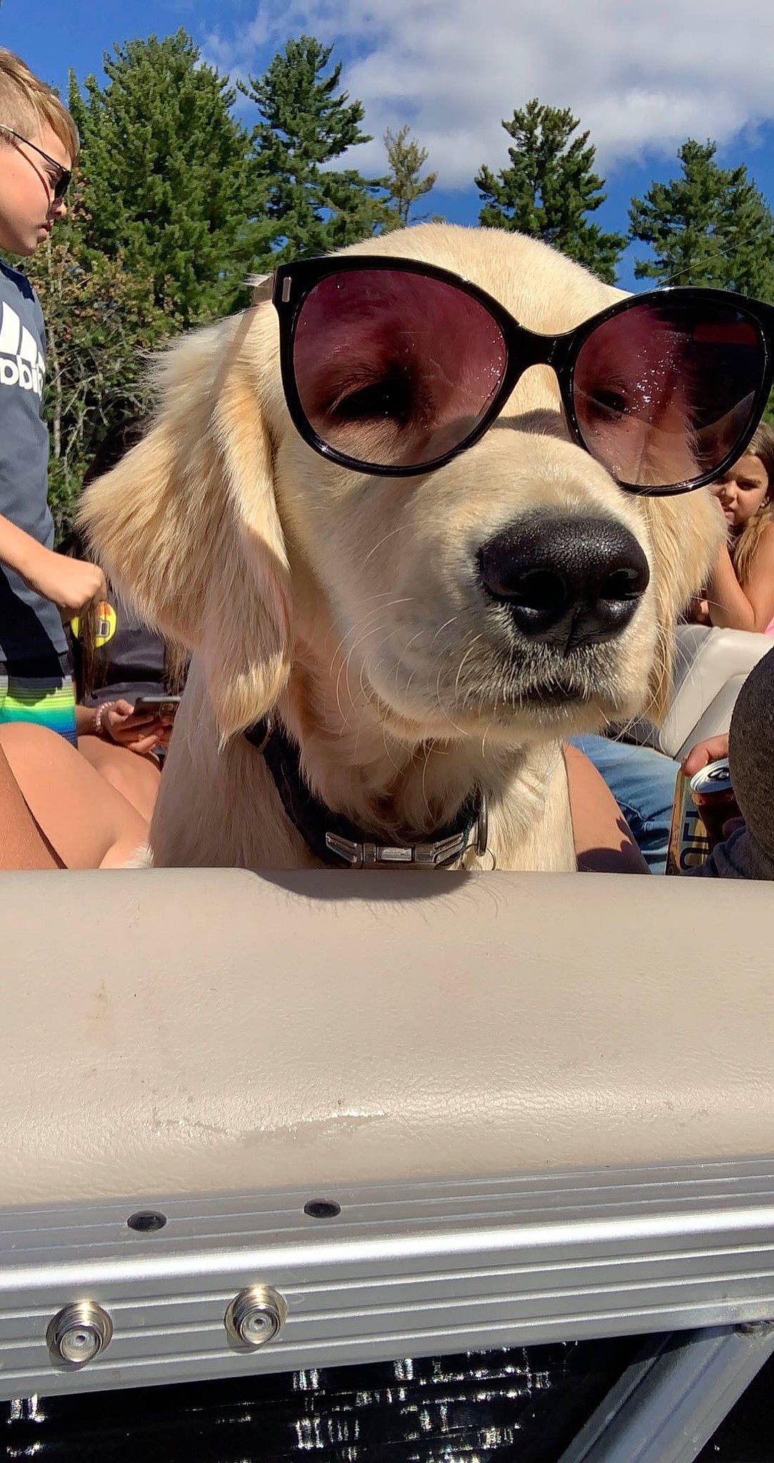 Captain joined the competition — help win amazing prizes! automotive_design, automotive_exterior, automotive_lighting, car, carnivore, companion_dog, dog, dog_breed, eyewear, fawn, glasses, goggles, hat, hood, motor_vehicle, shorts, sunglasses, vehicle, vehicle_door, vision_care