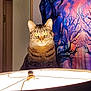 cat, tabby_cat, lamp, indoor, tapestry, colorful, glowing_eyes, portrait, animal, pet, feline, curious, yellow_eyes, light, shadow, decor, wall, doorframe, whiskers, ears
