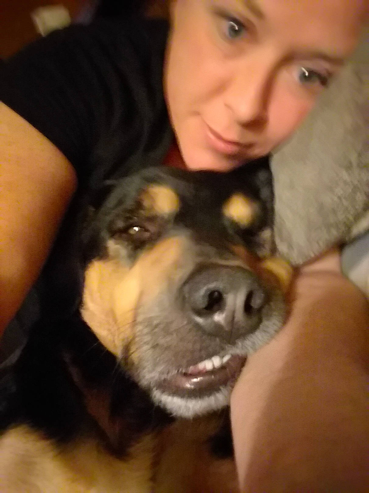 Hobbs is registered to the contest to win money with this photo: canidae, carnivore, dog, dog_breed, ear, fawn, head, huntaway, jaw, nose, puppy, puppy_love, selfie, smile, snout