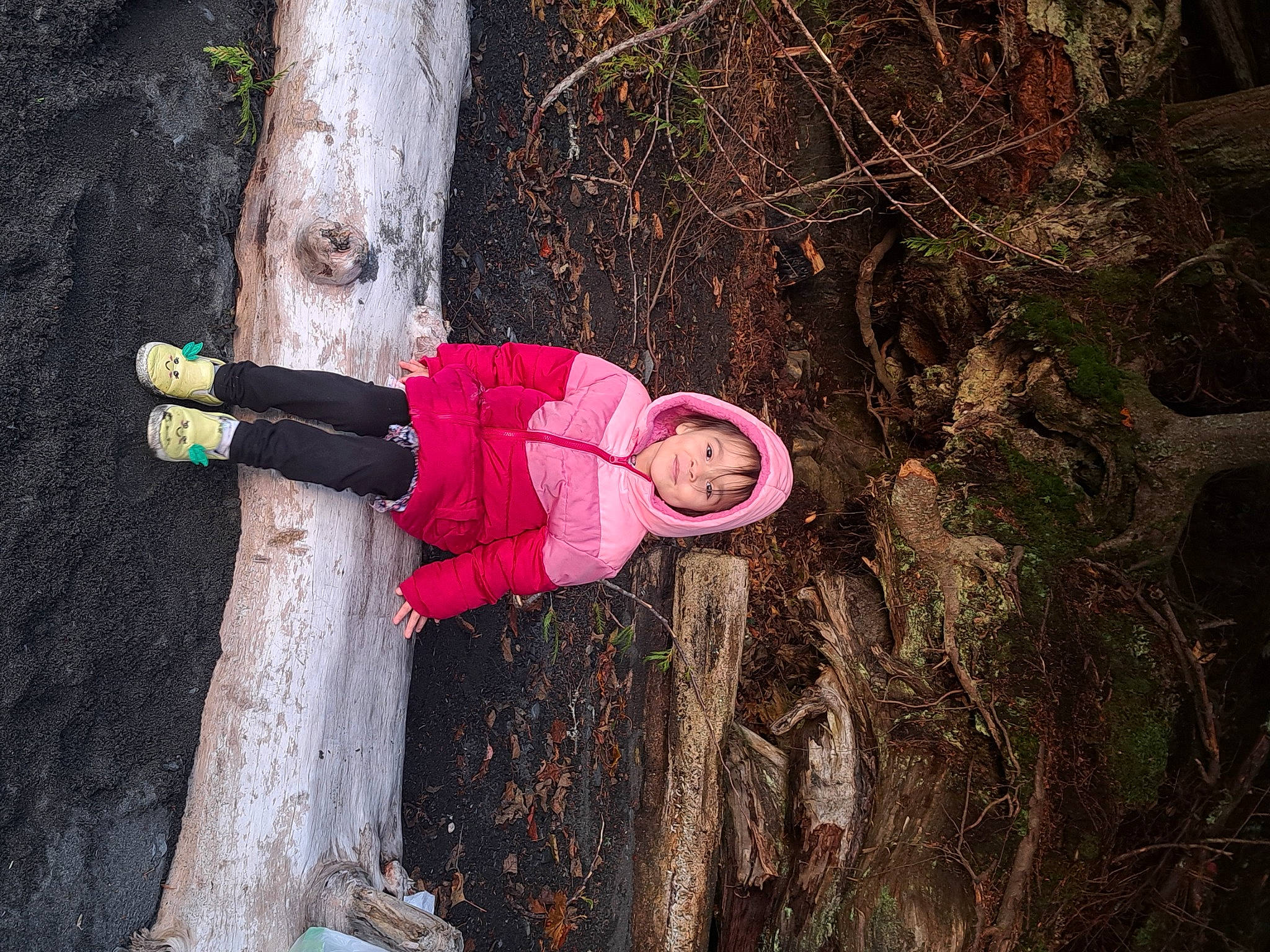 Joslyn is registered to the contest to win money with this photo: branch, carmine, forest, fun, grass, hat, headwear, magenta, organism, people_in_nature, person, plant, plant_stem, smile, soil, toddler, tree, trunk, twig, winter