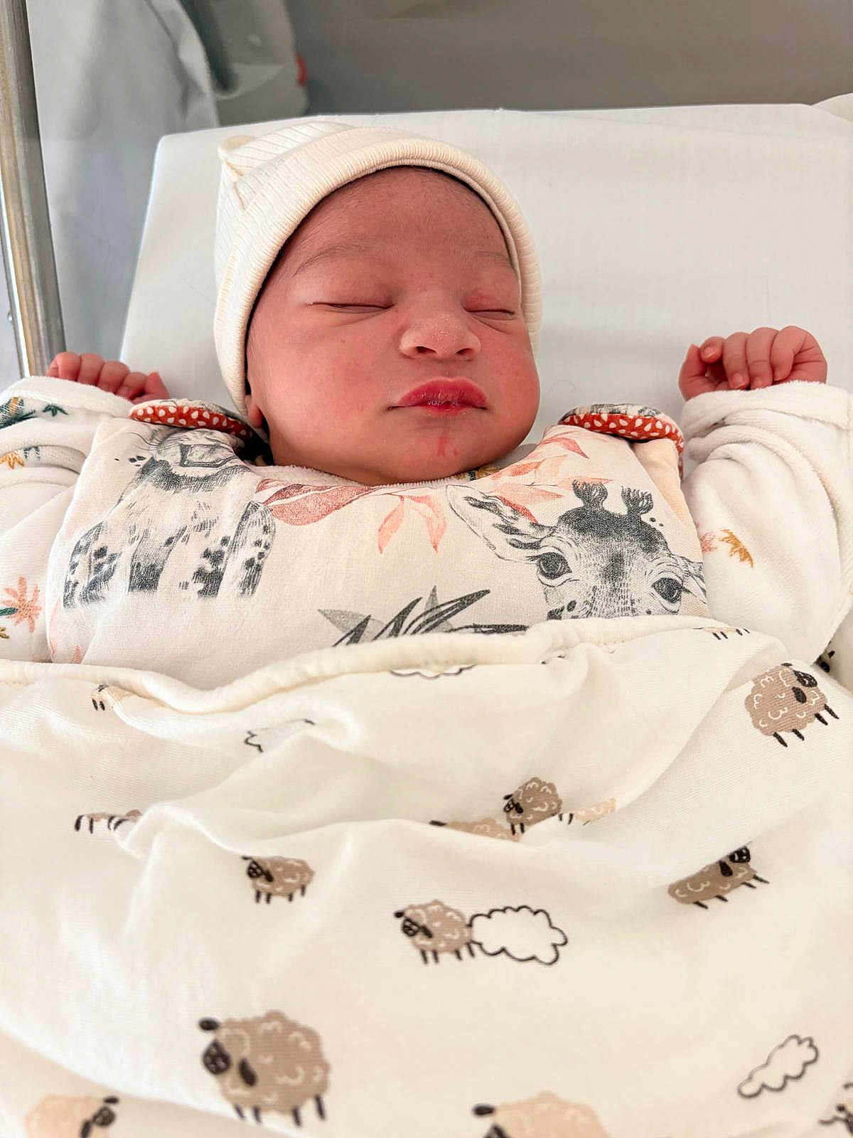 Zélie a rejoint le concours — aidez-le/la à gagner de superbes lots ! newborn, baby, sleeping, blanket, beanie, infant, cute, animal_print, bed, clothing, face, peaceful, wrapped, soft, indoors, child, resting, pale, small_hands, cozy