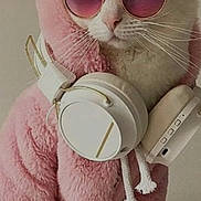 Poppy joined the competition — help win amazing prizes! cat, white_cat, pink_hoodie, headphones, sunglasses, pet, animal, cute, fashion, accessories, indoor, portrait, fluffy, cozy, wearing_clothes, cool, stylish, feline, domestic_cat, pink