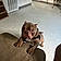 Tank Carter