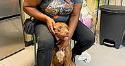 Harvey is registered to the contest to win money with this photo: woman, dog, indoor, floor, trash_bin, sitting, smiling, sunglasses, casual_clothing, shelf, bag, drain, tile_floor, short_sleeve_shirt, pants, shoe, pet, person, happy, companion