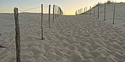 Knaki a rejoint le concours — aidez-le/la à gagner de superbes lots ! dog, sand, dune, fence, wooden_posts, leash, outdoor, pet, sunset, sky, nature, walking, small_dog, fluffy, happy, pathway, quiet, scenic, animal, landscape