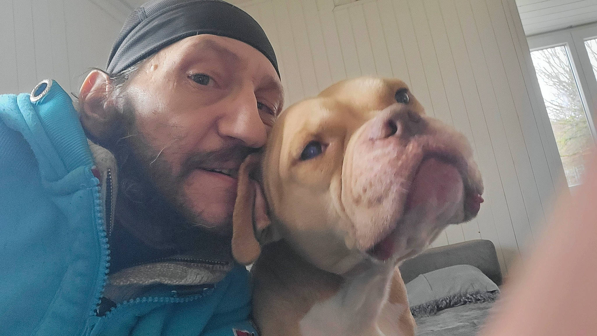 Boyka participe au concours pour gagner de l'argent avec cette photo : beard, bulldog, canidae, cap, carnivore, companion_dog, dog, dog_breed, fawn, fun, fur, happy, mouth, nose, puppy_love, selfie, sporting_group, whiskers, working_animal, wrinkle