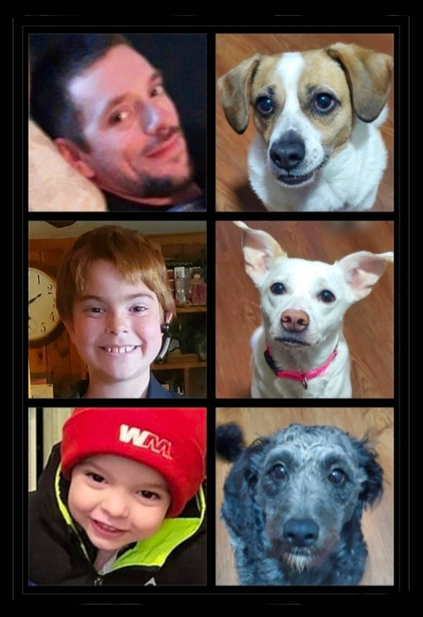 Murphy joined the competition — help win amazing prizes! art, canidae, carnivore, companion_dog, dog, dog_breed, facial_expression, flash_photography, fur, happy, jaw, organ, photograph, product, smile, snapshot, sporting_group, t_shirt, toddler, working_animal