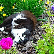 Patita participe au concours pour gagner de l'argent avec cette photo :