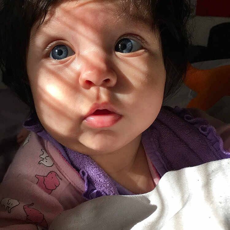 Gwendolyn joined the competition — help win amazing prizes! black_hair, brown_hair, cheek, child, chin, eye, eyebrow, face, forehead, girl, head, infant, lip, mouth, nose, organ, person, skin, smile, toddler