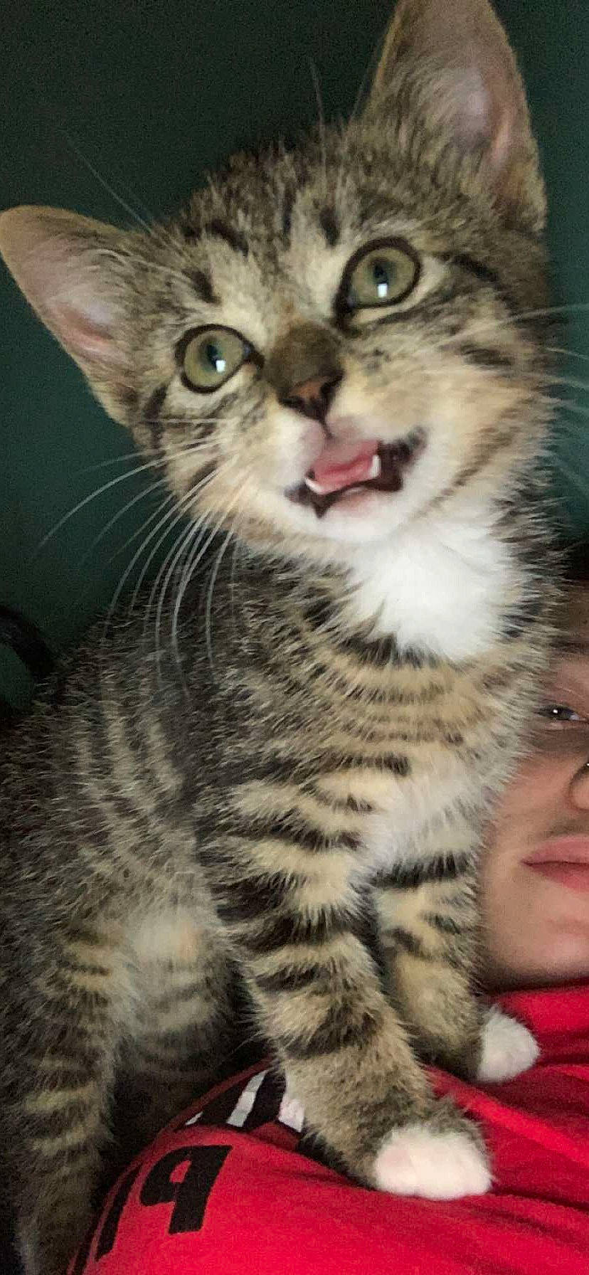Snickers
