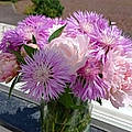 Michele L.