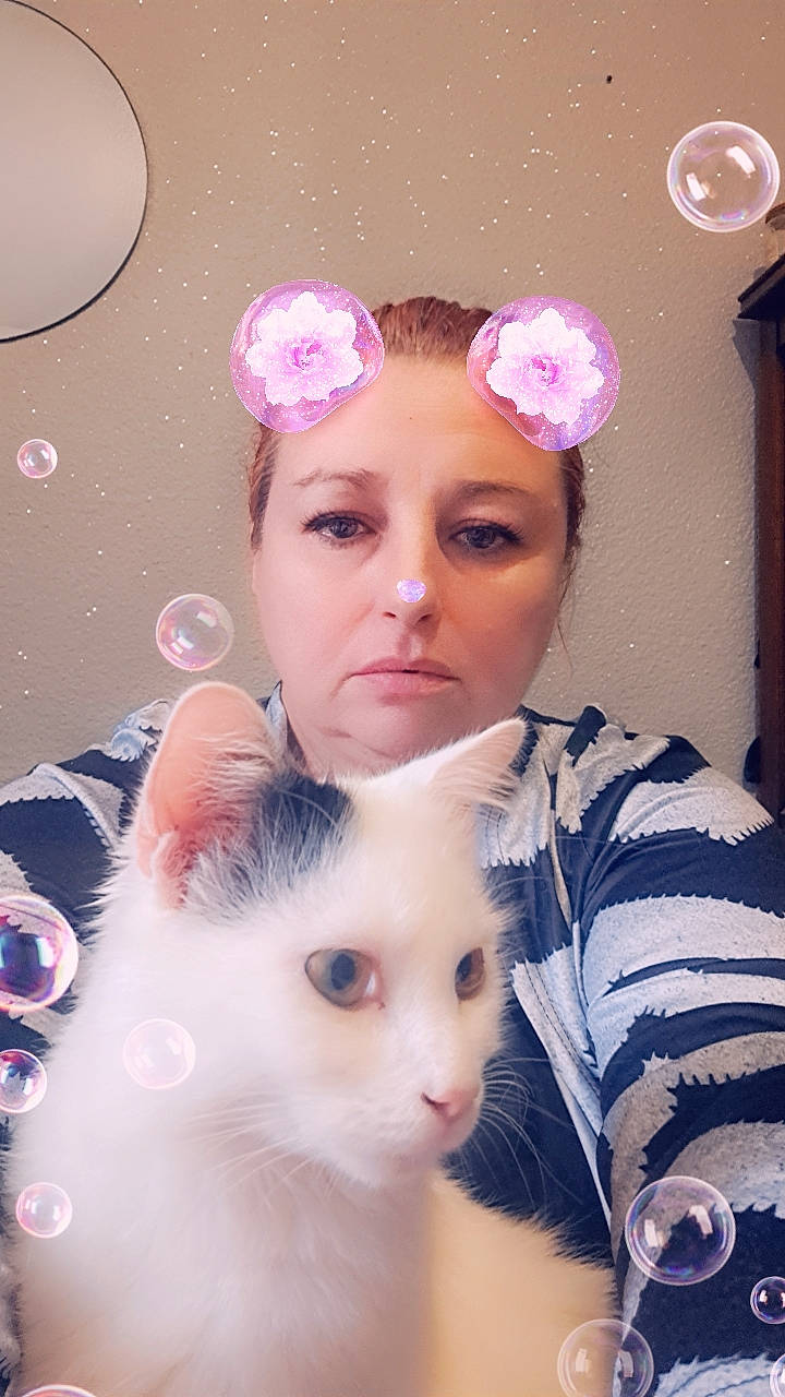 Yumi participe au concours pour gagner de l'argent avec cette photo : art, beauty, cat, ear, event, eyebrow, eyelash, fashion_accessory, felidae, fur, happy, head, headband, headpiece, magenta, petal, pink, skin, small_to_medium_sized_cats, whiskers