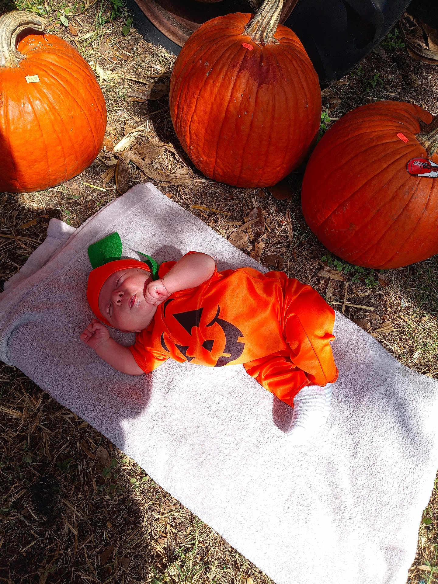 Joseph joined the competition — help win amazing prizes! baby, pumpkin, costume, orange, towel, outdoor, grass, leaf, fall, autumn, sleeping, cute, infant, holiday, seasonal, nature, festive, child, toddler, smiling