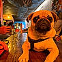 dog, pug, pet, animal, table, indoor, person, hand, glass, bottle, smartphone, ceiling_art, graffiti, warm_lighting, wooden_surface, casual, seated, collar, closeup, expression