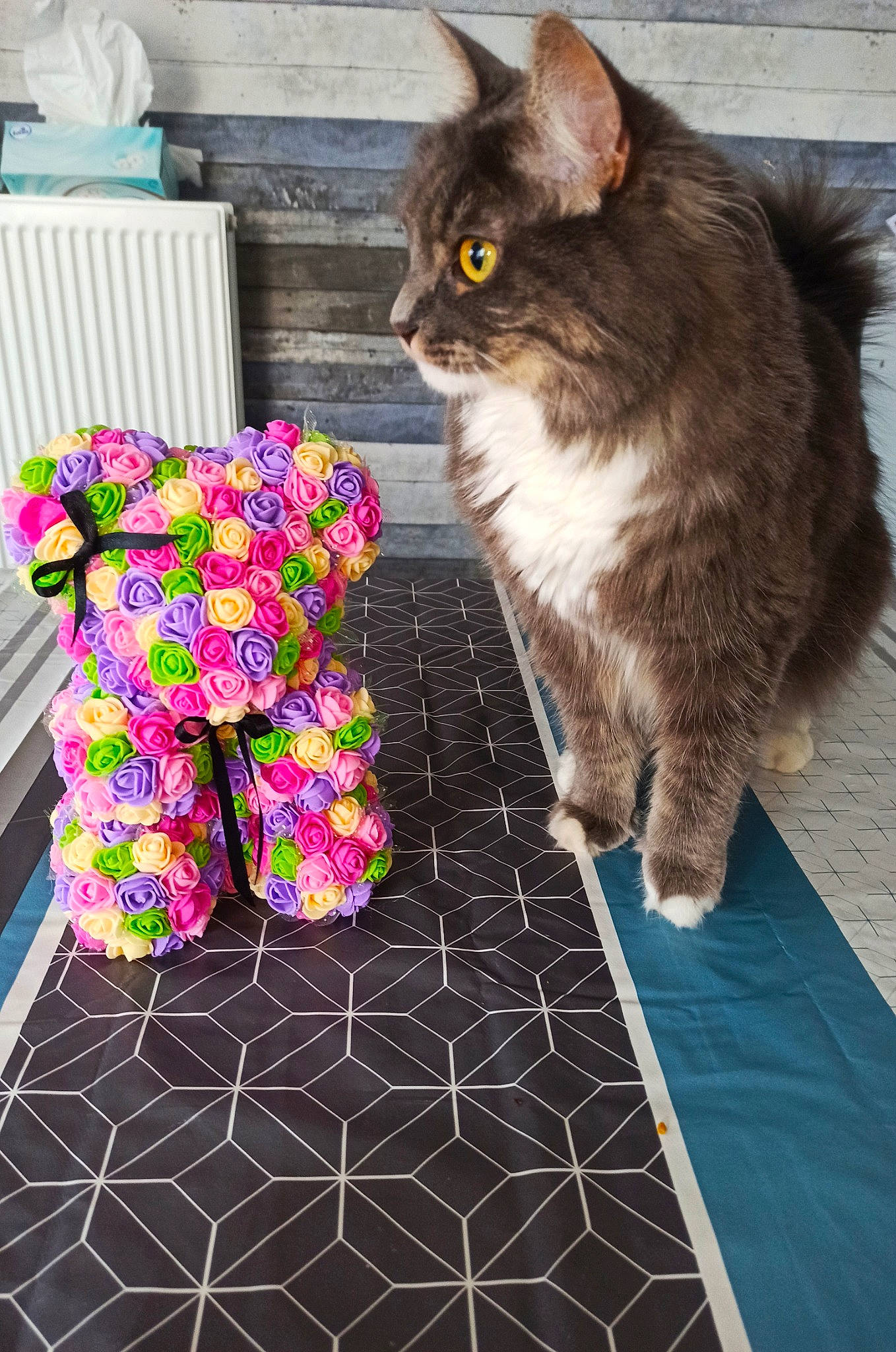Paillette participe au concours pour gagner de l'argent avec cette photo : carnivore, cat, claw, domestic_short_haired_cat, felidae, floor, flooring, fur, grey, linens, magenta, pattern, paw, rectangle, sitting, small_to_medium_sized_cats, stuffed_toy, tablecloth, tail, whiskers