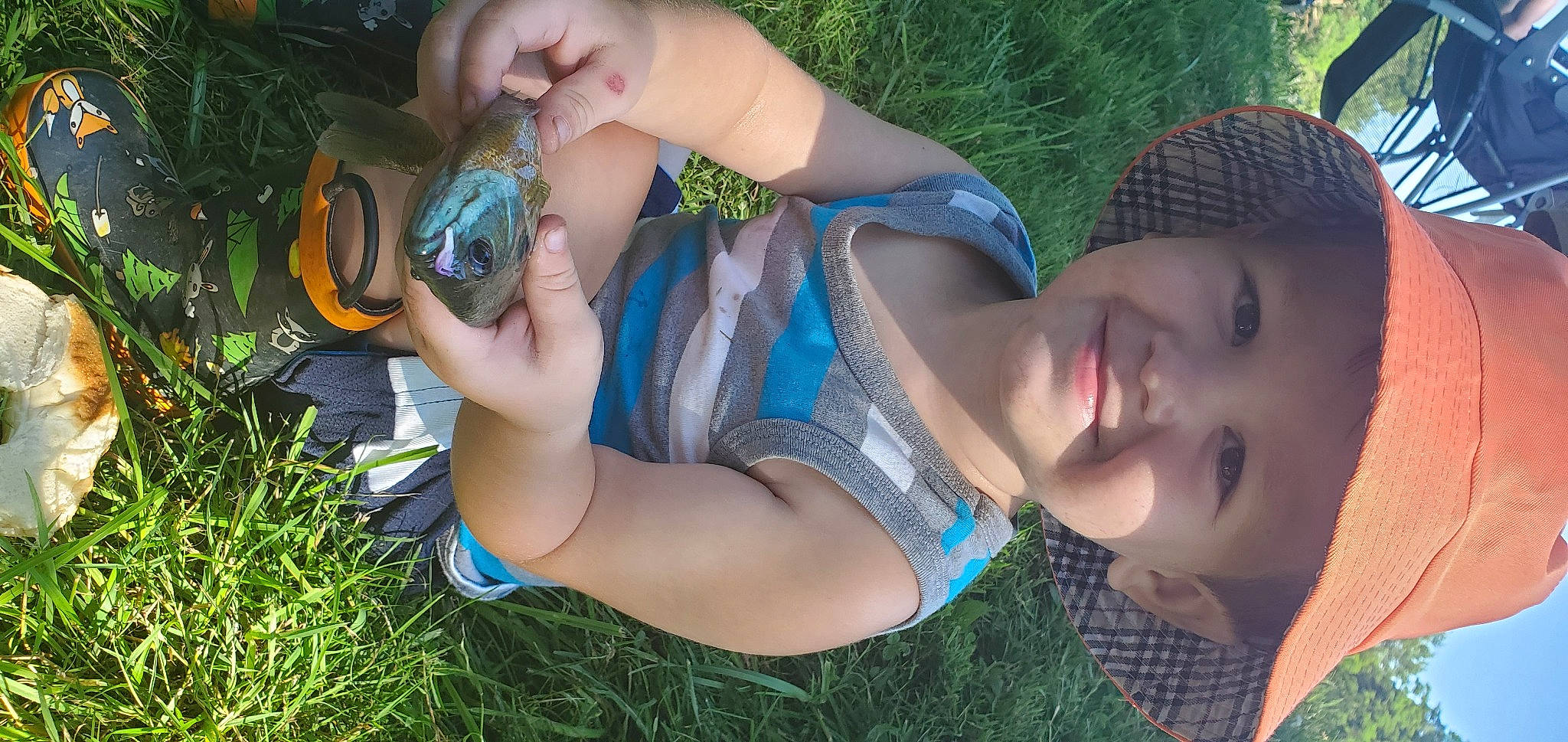 Lucas is registered to the contest to win money with this photo: black_hair, child, ear, fawn, fun, grass, headwear, joy, leg, leisure, mouth, person, photography, plant, smile, summer, tree