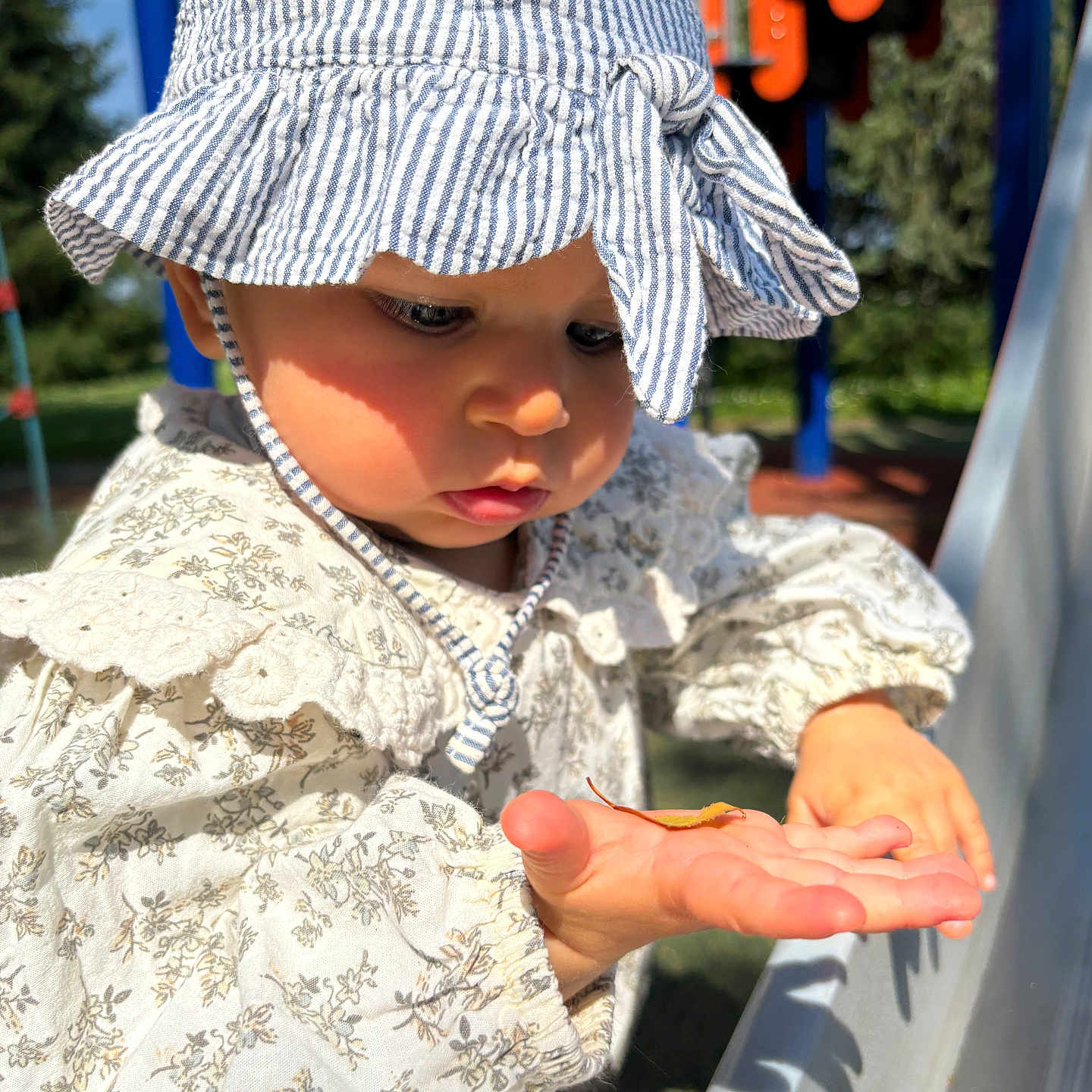 Thaïs a rejoint le concours — aidez-le/la à gagner de superbes lots ! baby, child, closeup, curious, daylight, expression, face, floral_dress, hand, hat, leaf, nature, outdoor, park, person, playground, slide, striped_hat, sunlight, toddler