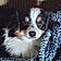 Charlie