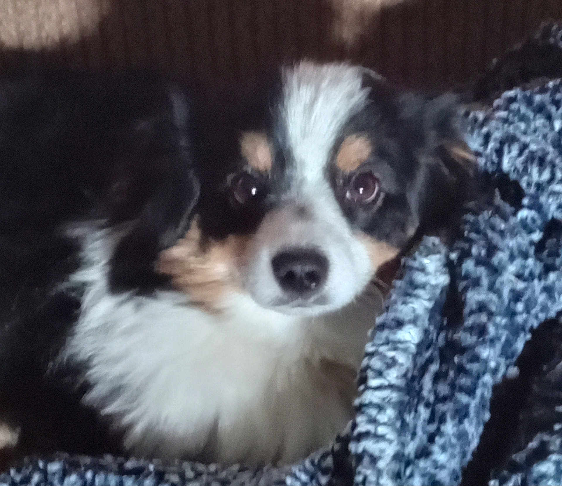 Charlie
