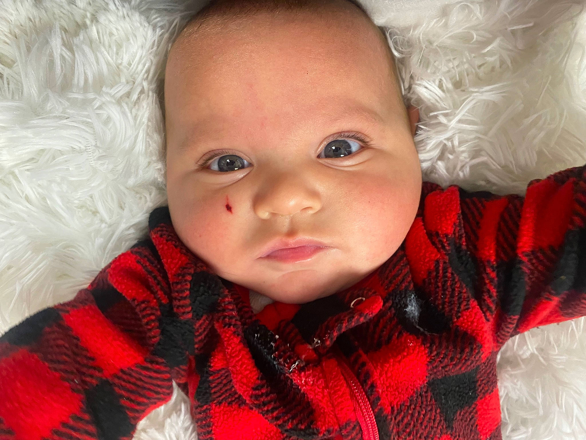 Thorin is registered to the contest to win money with this photo: baby_toddler_clothing, cheek, chin, collar, dress, ear, eyebrow, eyelash, head, human_body, iris, lip, mouth, nose, organ, outerwear, person, plaid, skin, sleeve
