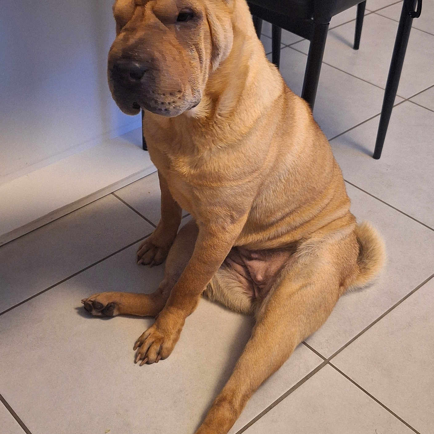 Héra
