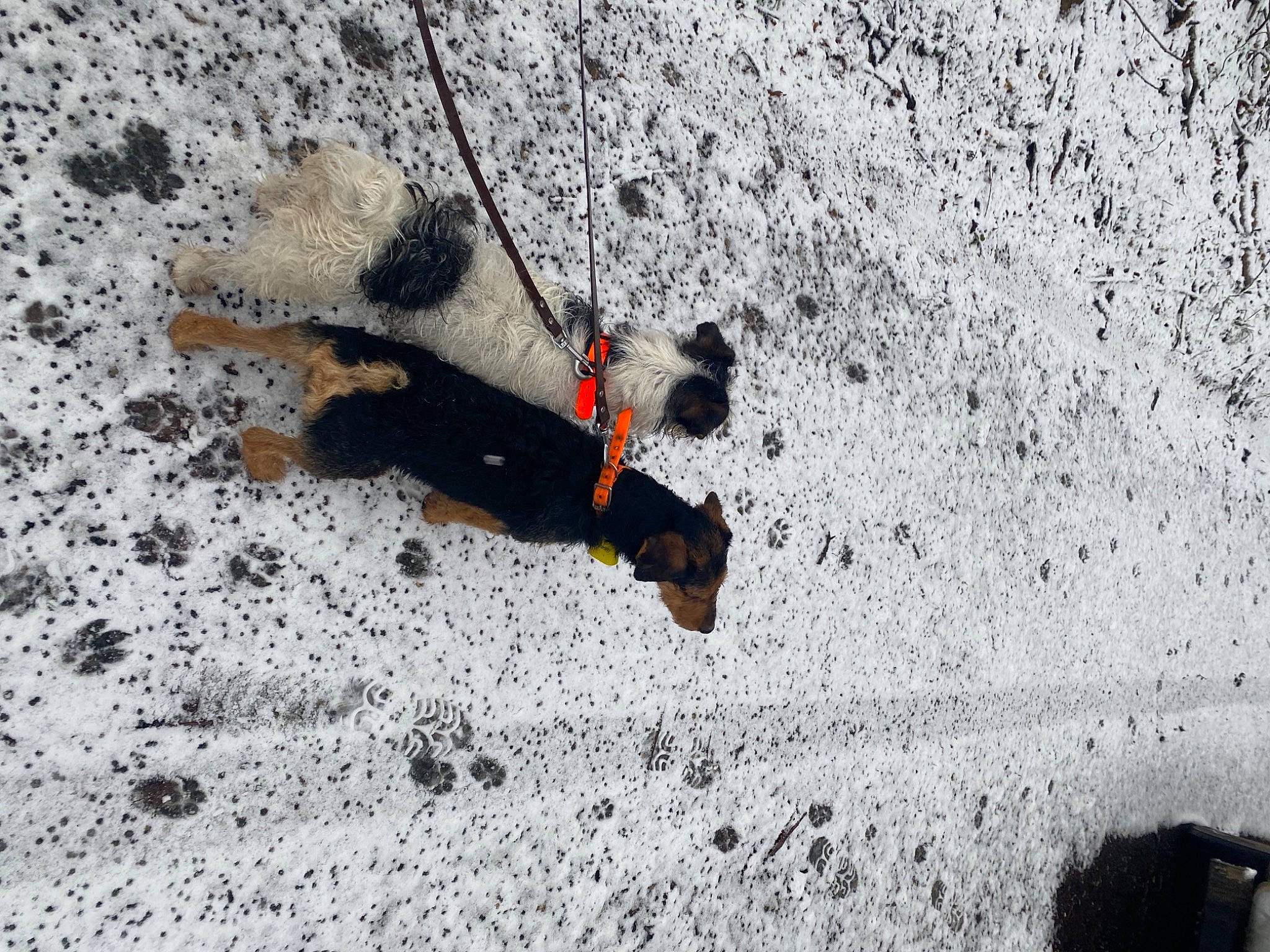 Punck a rejoint le concours — aidez-le/la à gagner de superbes lots ! arthropod, asphalt, beak, concrete, extreme_sport, geology, grey, insect, invertebrate, pest, recreation, rock, sand, seabird, shadow, slope, soil, tail, terrestrial_animal, wing