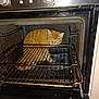 cat, orange_tabby, oven, kitchen, appliance, metal_rack, door_open, indoor, pet, animal, feline, grime, clock, time_display, household, curious, sitting, looking, close_up, domestic