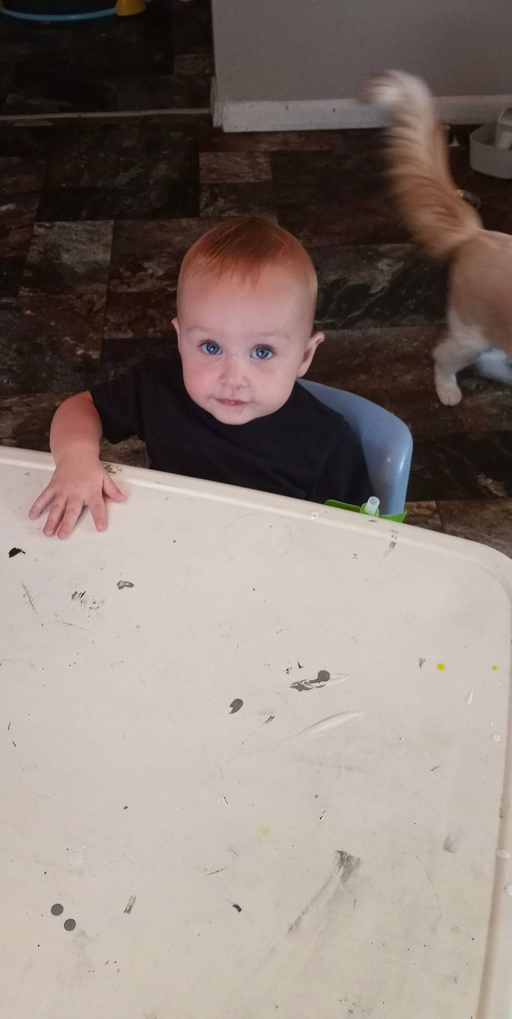 Ember Rain is registered to the contest to win money with this photo: baby, baby_toddler_clothing, cheek, child, companion_dog, concrete, finger, floor, flooring, fun, grass, hardwood, mammal, person, play, sitting, skin, t_shirt, toddler, vertebrate