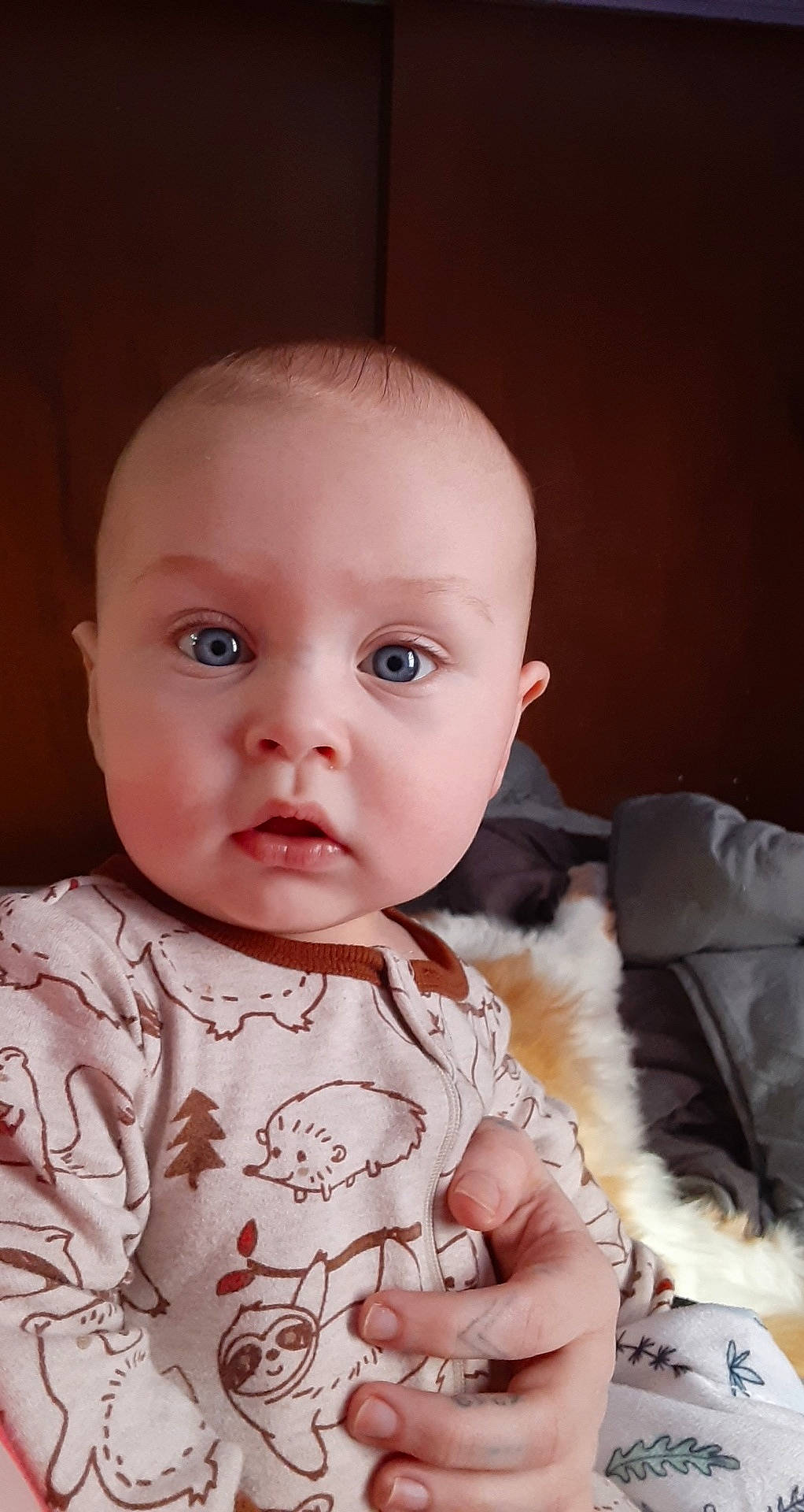 Ember joined the competition — help win amazing prizes! baby, baby_toddler_clothing, cheek, child, collar, comfort, eye, eyelash, flash_photography, fur, happy, head, iris, lip, nose, pattern, person, sitting, skin, sleeve