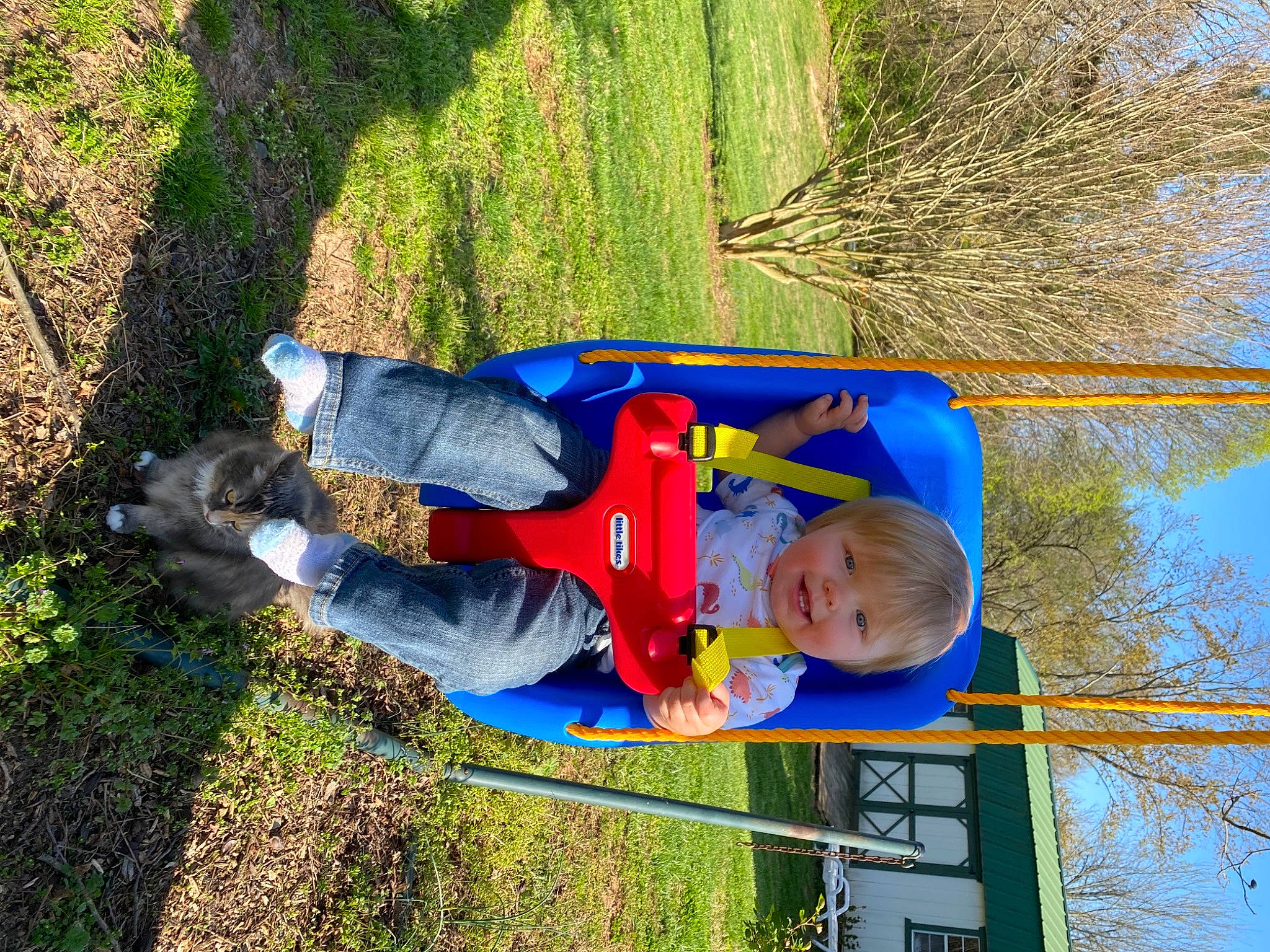 Grayson joined the competition — help win amazing prizes! baby, baby_toddler_clothing, child, electric_blue, fun, grass, happy, joy, leaf, leisure, people_in_nature, person, plant, play, recreation, sky, toddler, travel, tree, walking_shoe