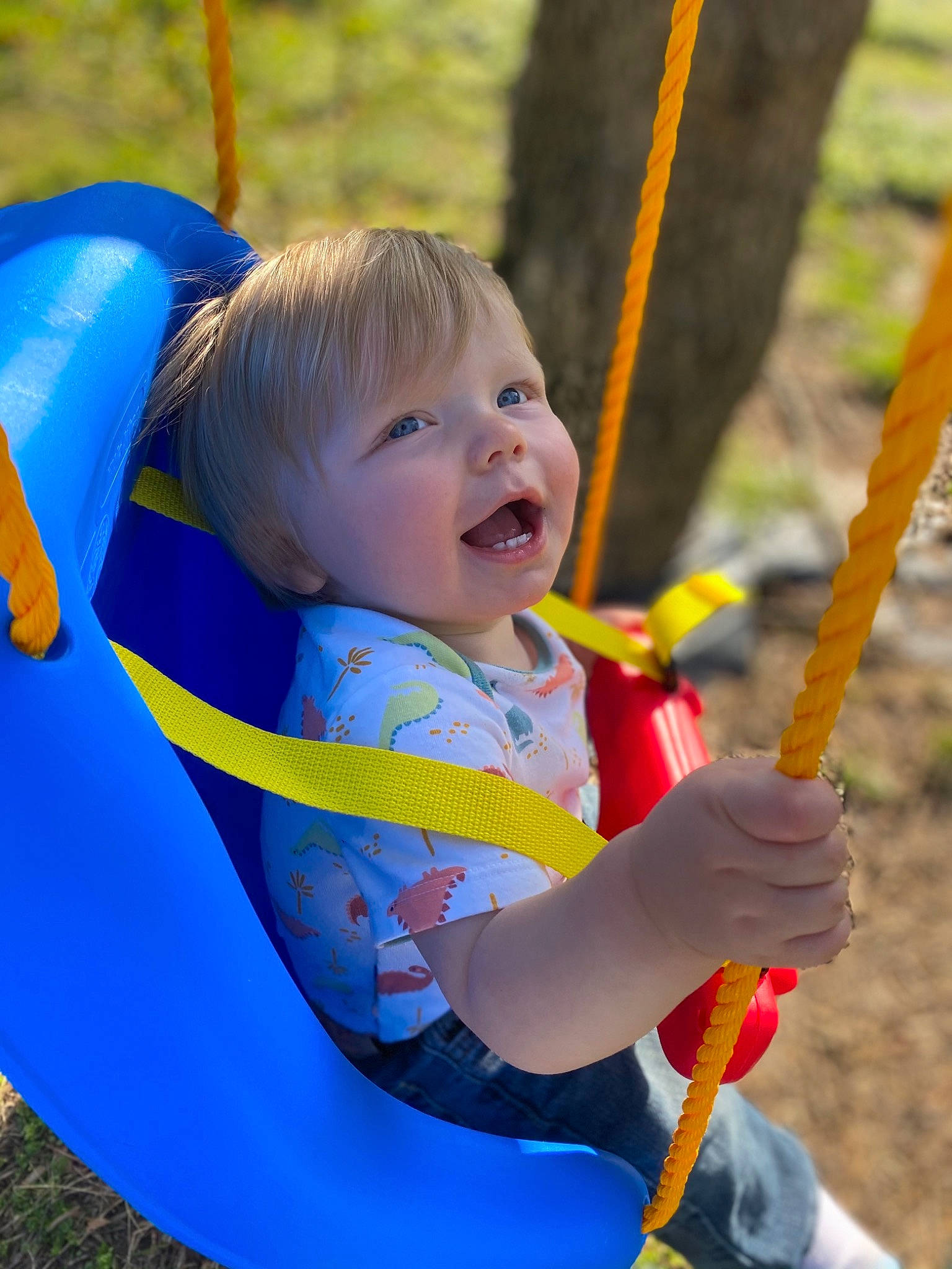 Grayson is registered to the contest to win money with this photo: baby_toddler_clothing, blue, electric_blue, face, fun, grass, hand, happy, leisure, outdoor_play_equipment, people_in_nature, person, playground, product, recreation, smile, swing, toddler, tree, woody_plant
