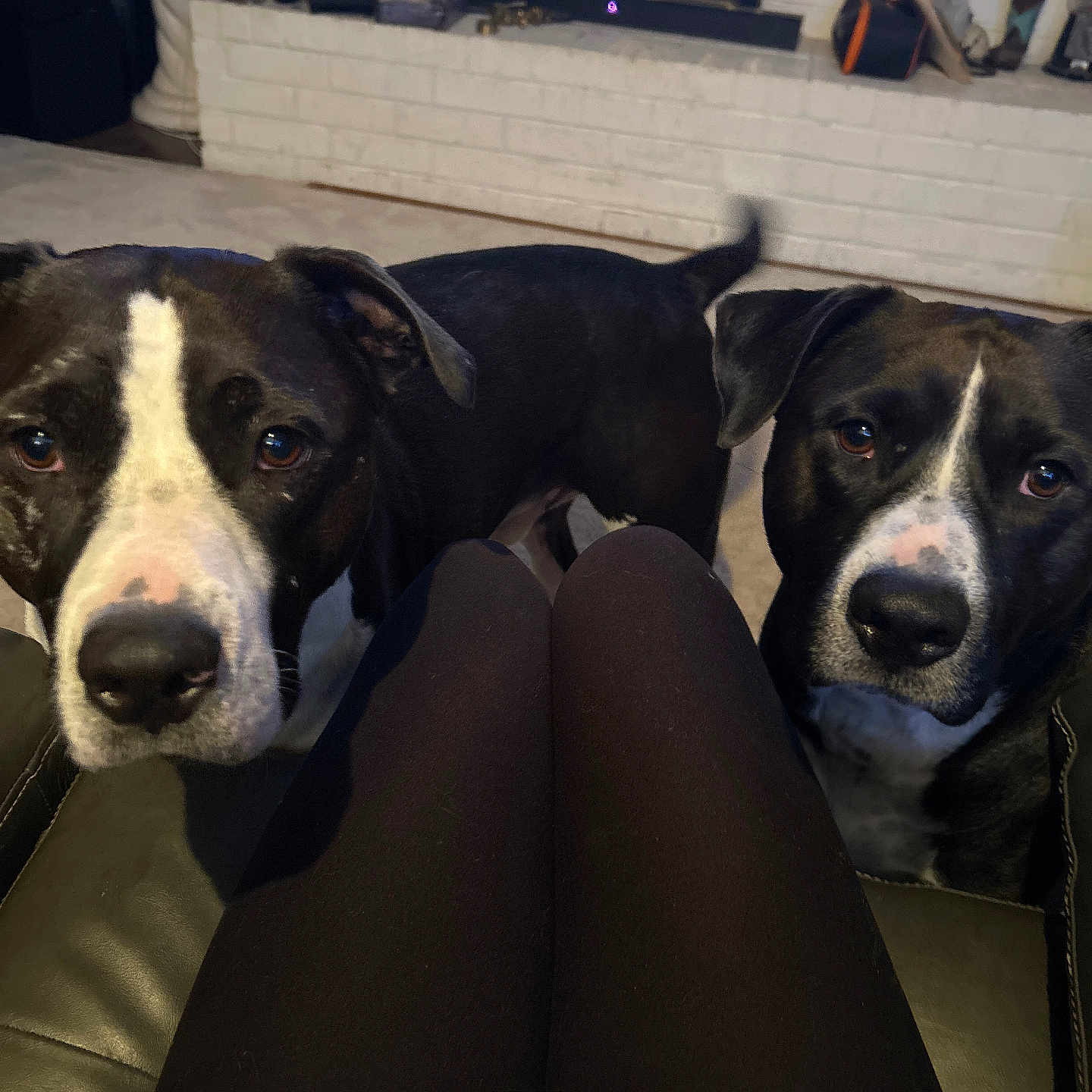 Psycho And Psycho Jr