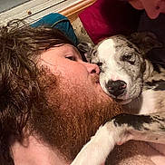Ozzy joined the competition — help win amazing prizes! man, beard, dog, puppy, close_up, snuggling, affection, sleepy, indoor, chain_necklace, red_hair, human, pet, animal, face, cuddle, fur, friendship, portrait, love