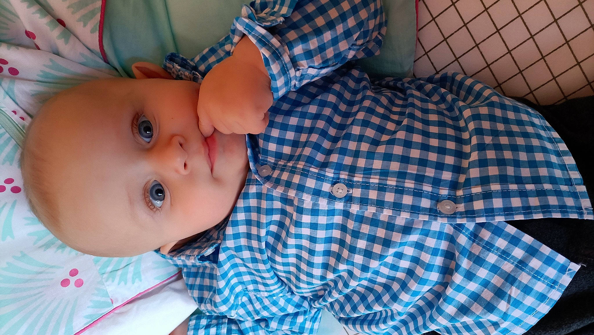 Hermann a rejoint le concours — aidez-le/la à gagner de superbes lots ! arm, baby, baby_toddler_clothing, cheek, child, comfort, dress, eye, face, human_body, iris, linens, lip, mouth, nose, pattern, person, plaid, skin, textile