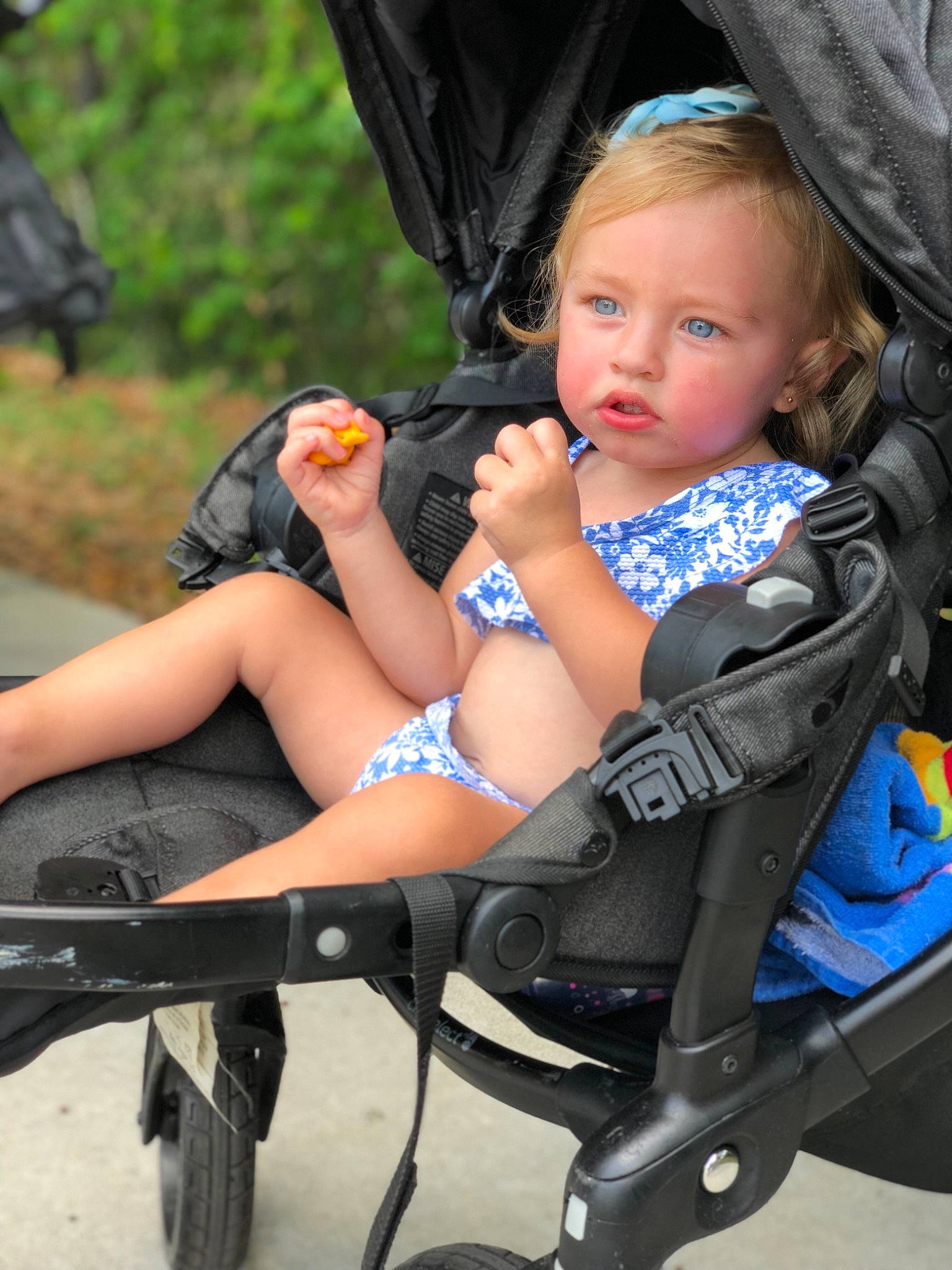 Audrina is registered to the contest to win money with this photo: baby_carriage, baby_products, child, leg, person, plant, product, sitting, toddler, vacation, vehicle