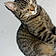 Minette