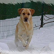 Denka participe au concours pour gagner de l'argent avec cette photo :