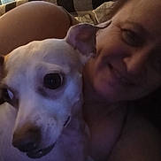 Willow joined the competition — help win amazing prizes! animal, blanket, bond, closeup, comfort, companion, couch, cozy, dog, face, friendship, happy, home, indoor, love, person, pet, portrait, relaxation, smile