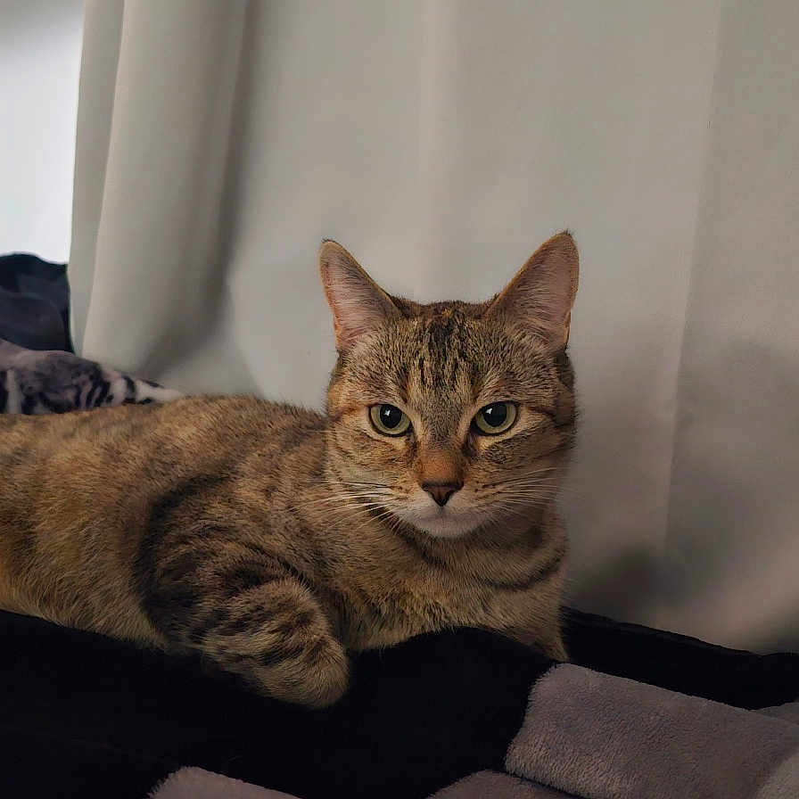 Zoey