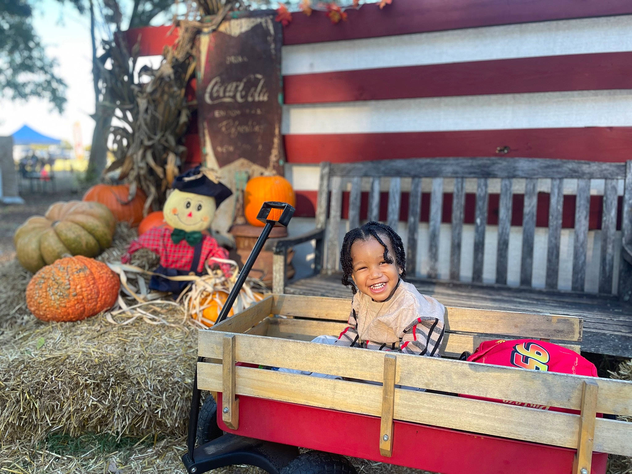 Syre is registered to the contest to win money with this photo: automotive_wheel_system, calabaza, cucurbita, gourd, happy, hat, joy, leisure, motor_vehicle, natural_foods, person, plant, pumpkin, smile, squash, tire, travel, tree, vehicle, wheel