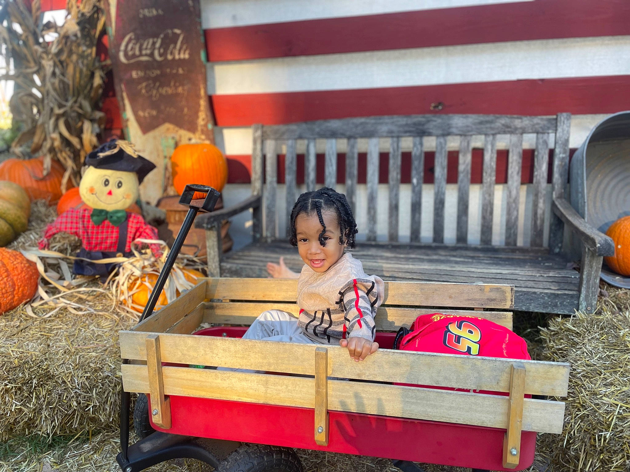 Syre joined the competition — help win amazing prizes! automotive_wheel_system, bench, calabaza, cart, cucurbita, fun, gourd, grass, leisure, mode_of_transport, motor_vehicle, orange, person, pumpkin, tire, toddler, vehicle, wagon, wheel, wheelbarrow