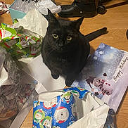Lulu joined the competition — help win amazing prizes! black_cat, card, cat, close_up, curious_cat, domestic_cat, floor, footwear, gift_bag, holiday_card, holiday_theme, holiday_wrapping, indoor, messy, paper_torn, pet, plastic_bag, snowman_card, wooden_floor, wrapping_paper