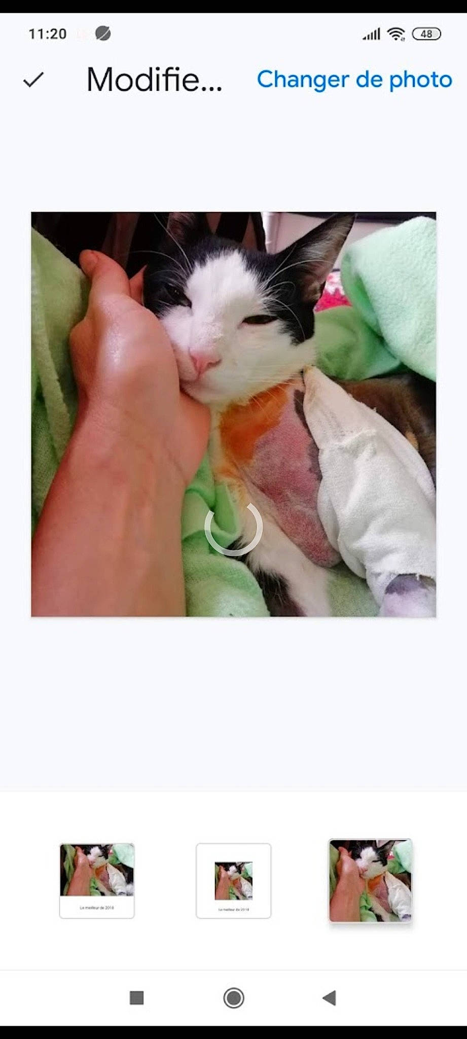 Floki Le Guerrier participe au concours pour gagner de l'argent avec cette photo : cat, domestic_short_haired_cat, eyelash, felidae, finger, font, formal_wear, fur, gesture, green, happy, nail, paw, photo_caption, screenshot, skin, small_to_medium_sized_cats, thumb, whiskers, wrist