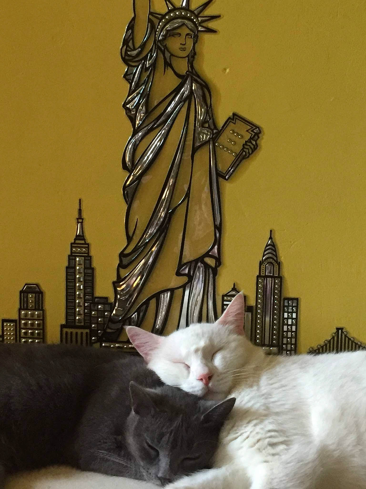 Alaska participe au concours pour gagner de l'argent avec cette photo : art, carnivore, cat, comfort, domestic_short_haired_cat, felidae, fur, mammal, paw, room, sculpture, small_to_medium_sized_cats, tail, visual_arts, whiskers, window