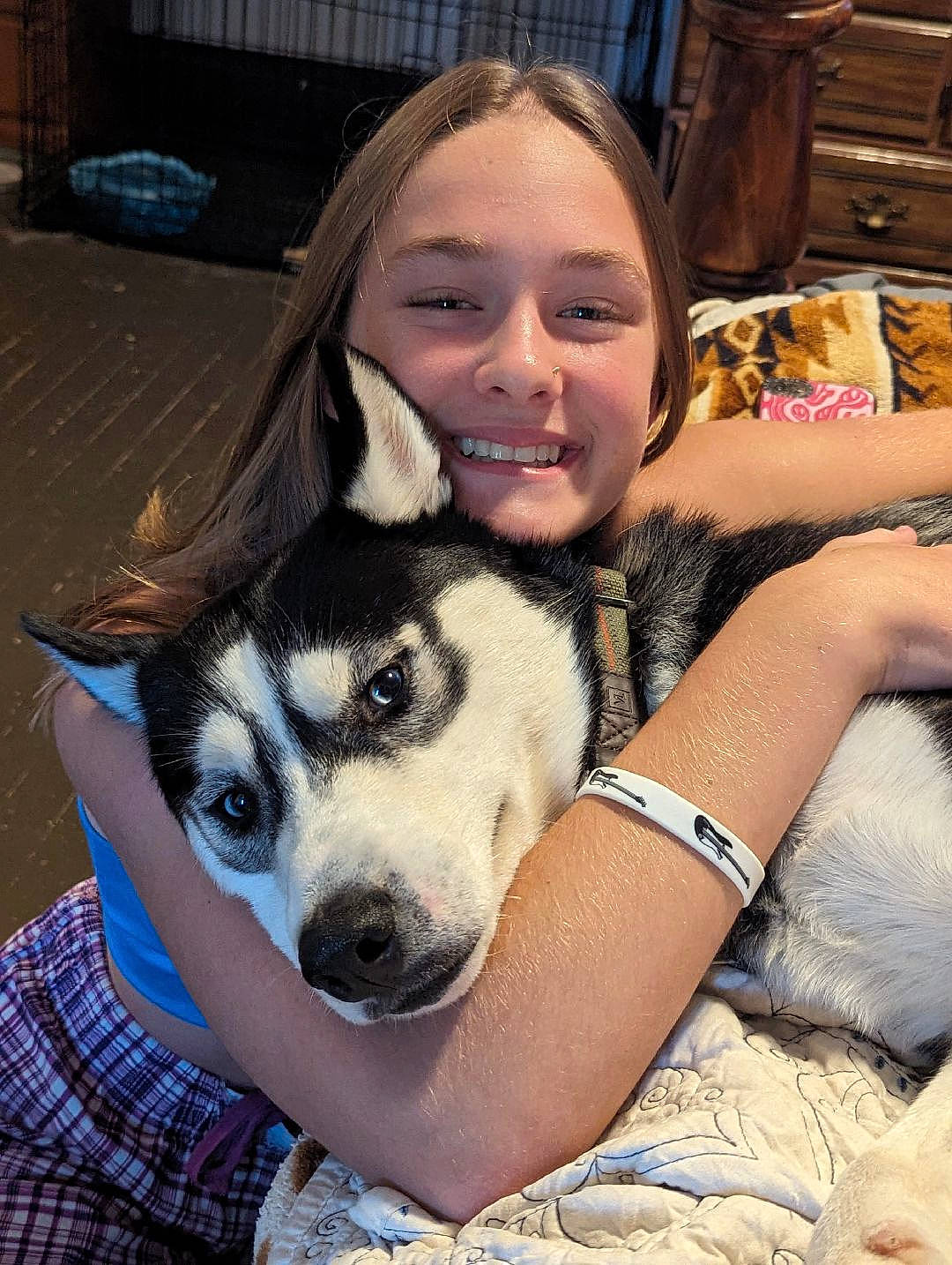 Loki joined the competition — help win amazing prizes! carnivore, comfort, companion_dog, dog, dog_breed, eye, fawn, fun, fur, hair, happy, head, human_leg, mammal, siberian_husky, sitting, sled_dog, smile, snout, thigh