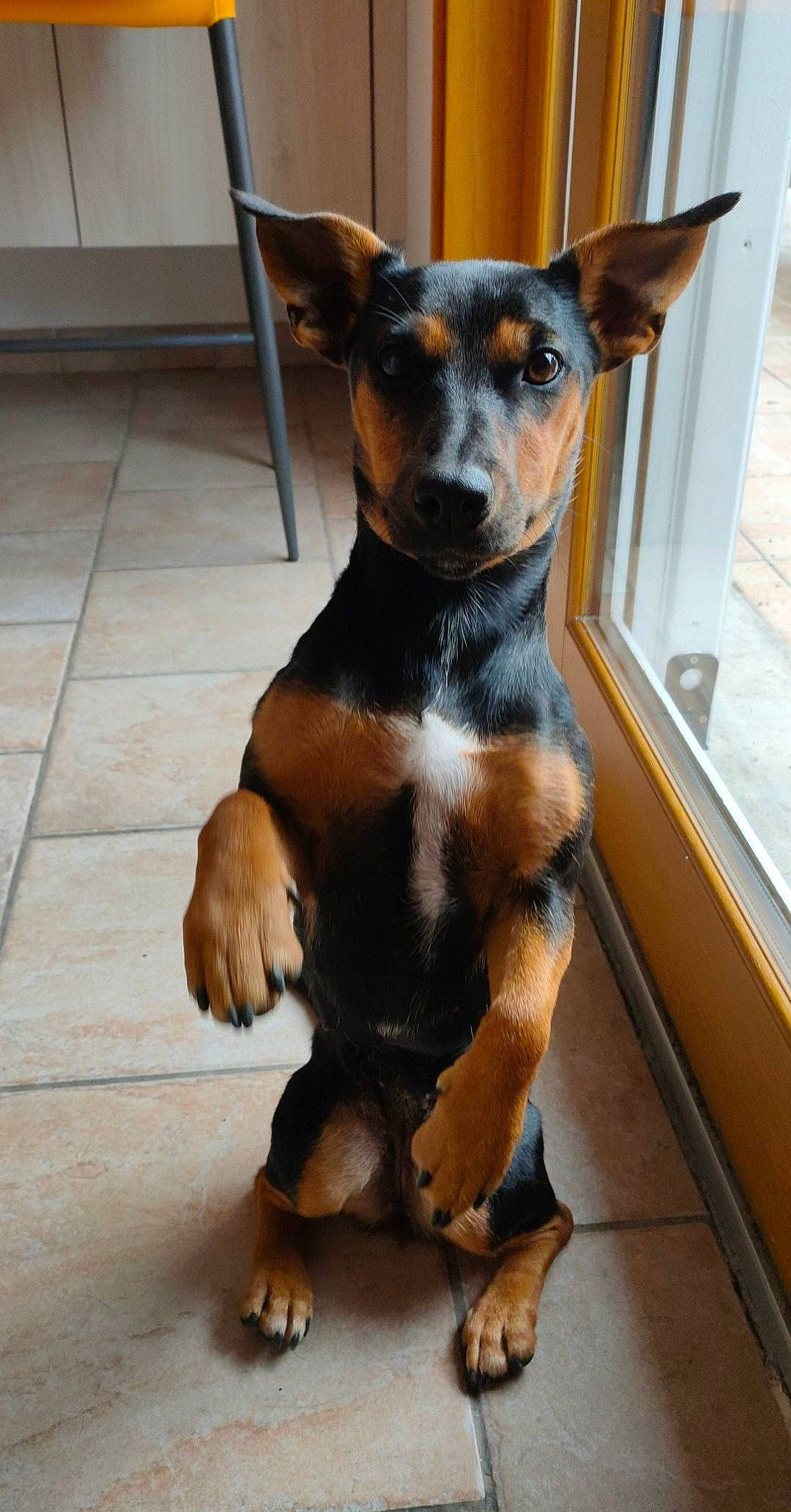 Praline